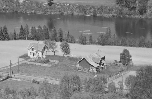 Branæs 38/31. Halvorsetvegen 70. Foto: Widerøe AS 1958.
